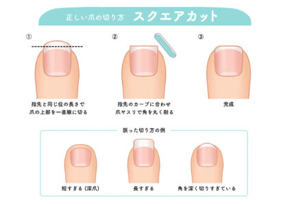 爪切りの仕方